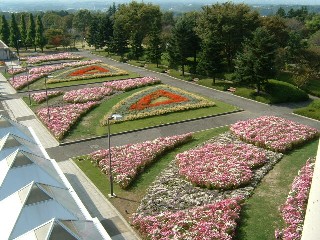 フラトピア大花壇