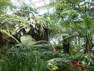 熱帯花木温室